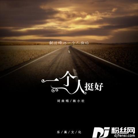 一个人挺好DJheap九天版的专辑