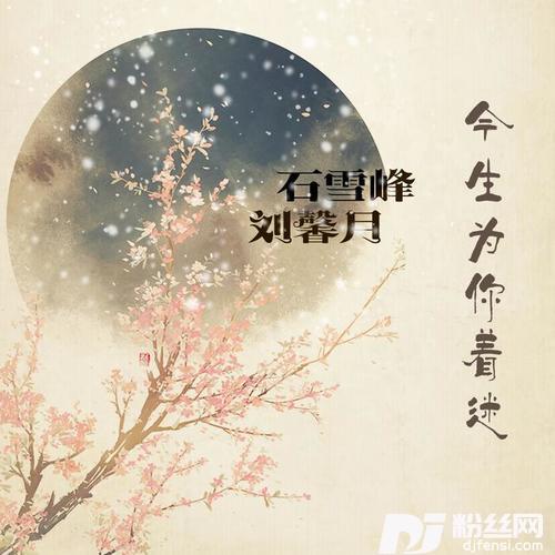 今生为你着迷DJ版