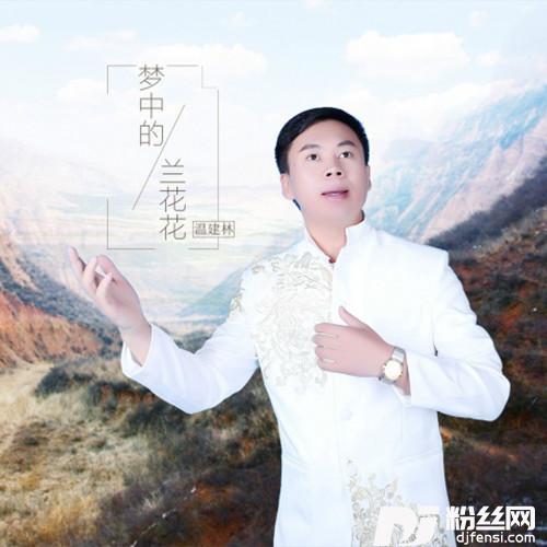 梦中的兰花花