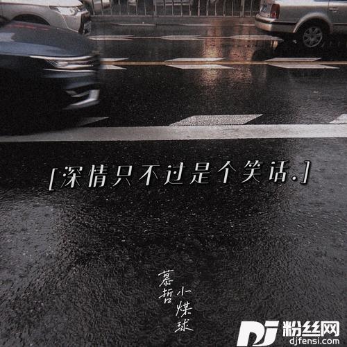 深情只不过是一个笑话（dj版）