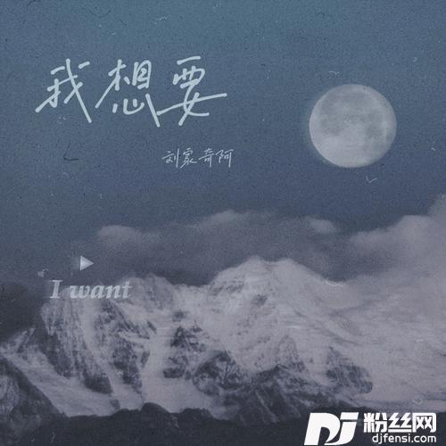 我想要DJheap九天版的专辑