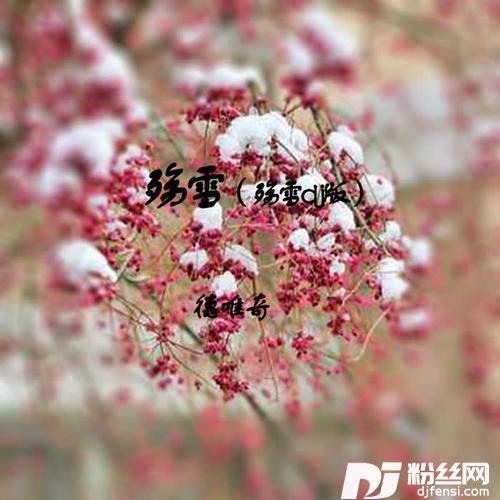 殇雪殇雪dj版