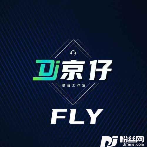 FLYDJ京仔版