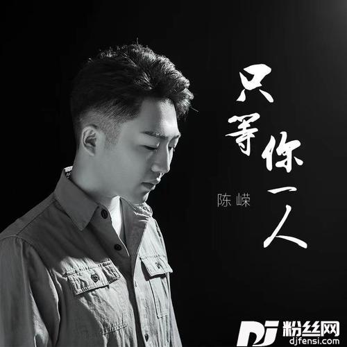 只等你一人DJheap九天版
