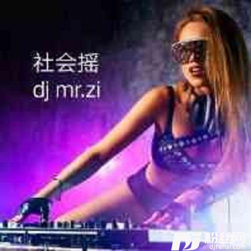 偷心的贼DJ版