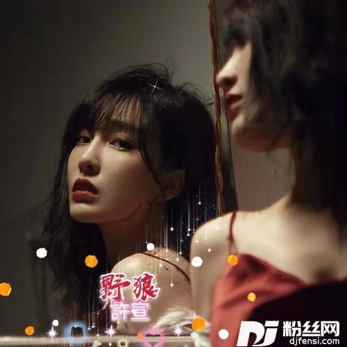 野狼抖音吃鸡DJ