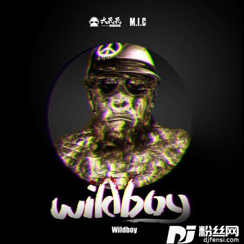 WildBoy（feat.M.i.c陈迈）