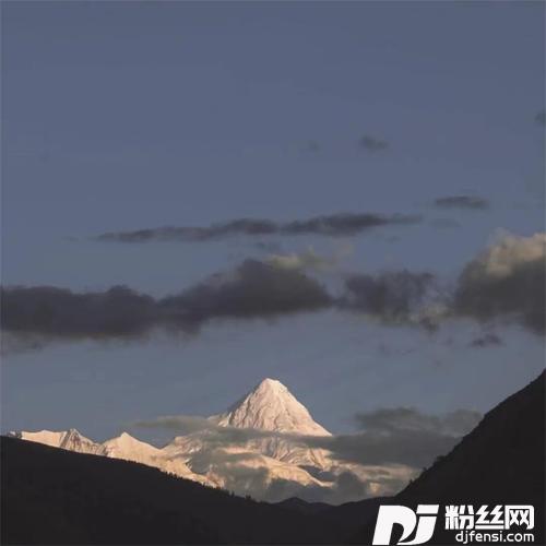 我在抖音等着你的专辑