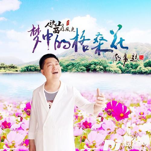 梦中的格桑花的专辑