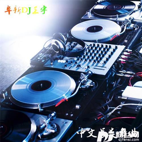 最后一次Remix的专辑