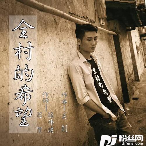 全村的希望（DJ版）Remix
