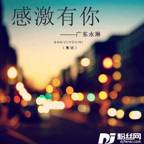 感激有你粤语的专辑
