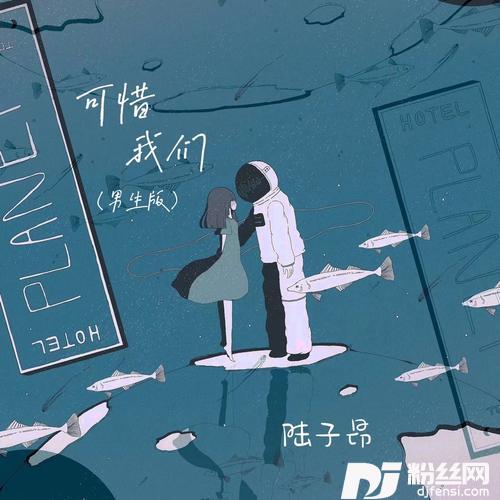可惜我们男生版的专辑