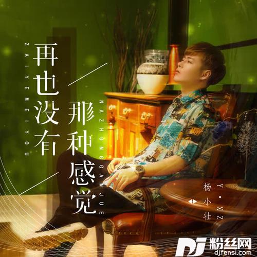 再也没有那种感觉