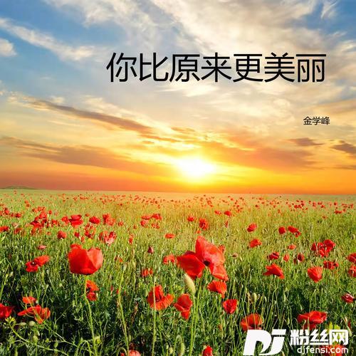 你比原来更美丽的专辑