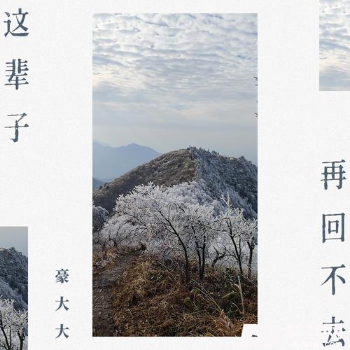是什么让你离开我DJ豪大大版