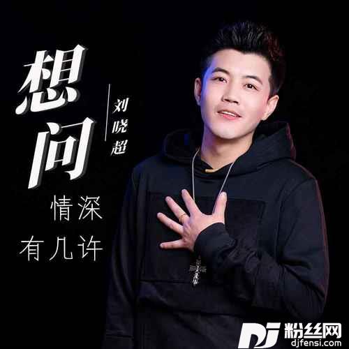 想问情深有几许DJ默涵版的专辑