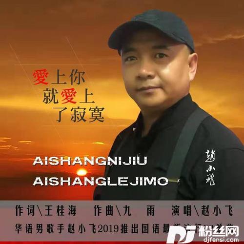 爱上你就爱上寂寞