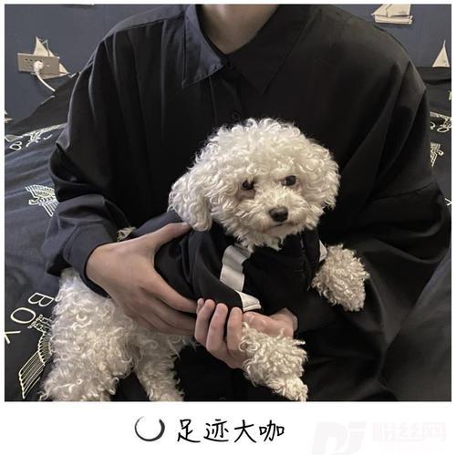 LoveisgoneDJ版的专辑