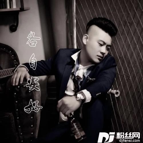各自安好DJ晨晨版）