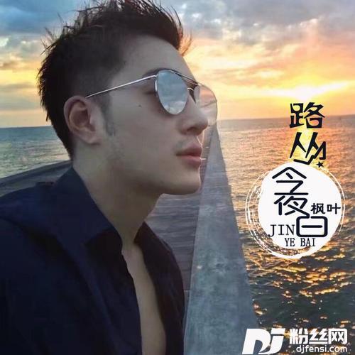 累了走了散了DJ版的专辑