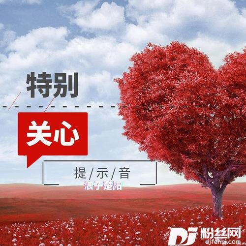 特别关心提示音