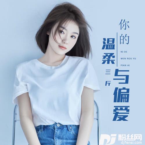 你的温柔与偏爱DJ默涵版