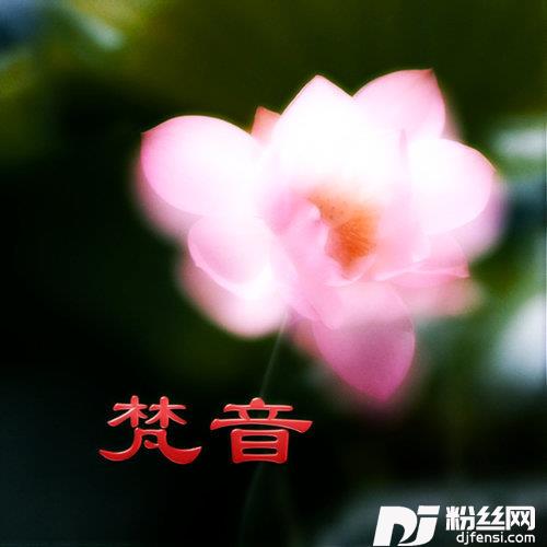 大悲咒梵语唱诵