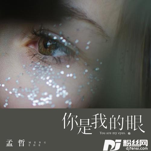 你是我的眼