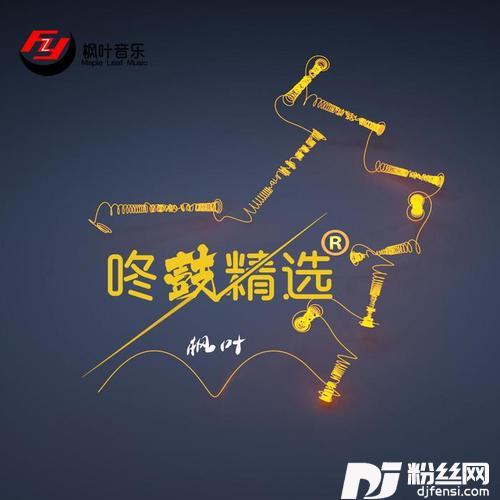曾经的你女声咚鼓版的专辑