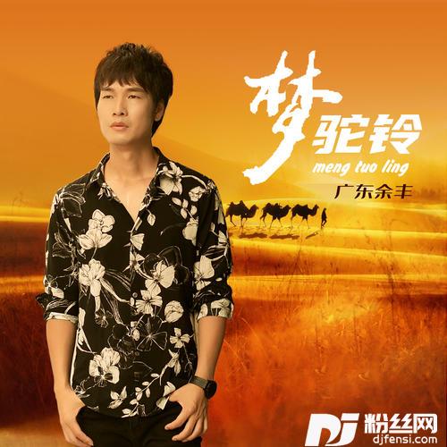 梦驼铃DJ大金版
