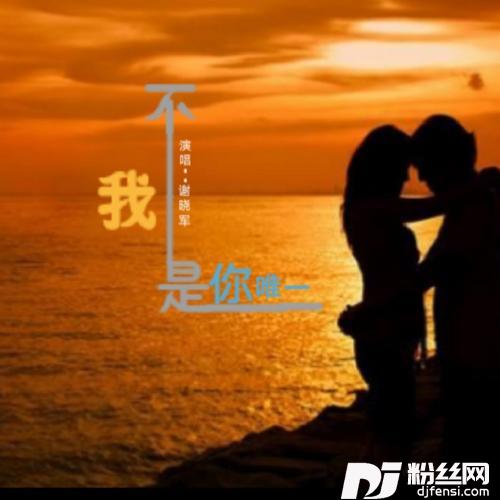 我不是你唯一（dj版）