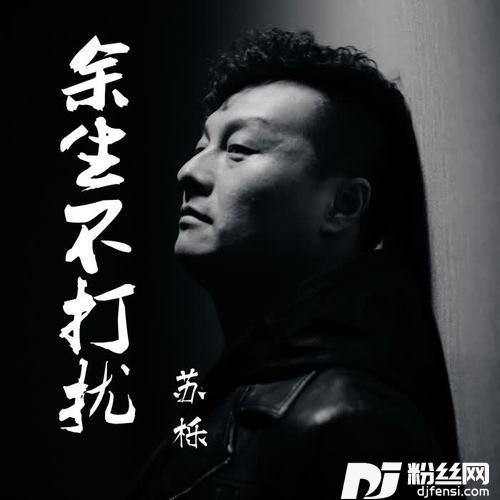 余生不打扰（车载DJ版）