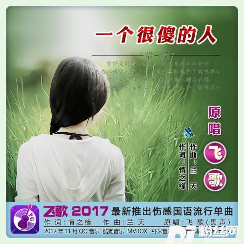 一个很傻的人的专辑
