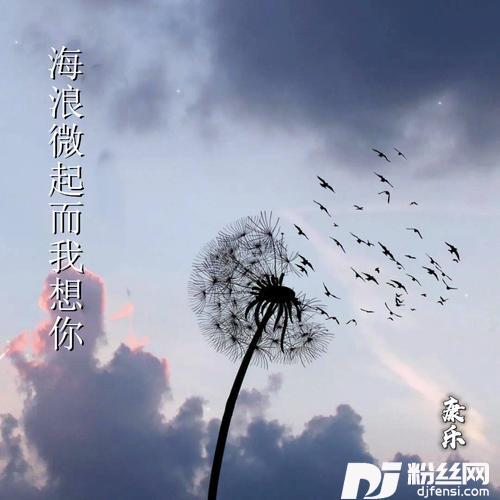 海浪微起而我想你的专辑