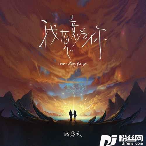 我愿意为你