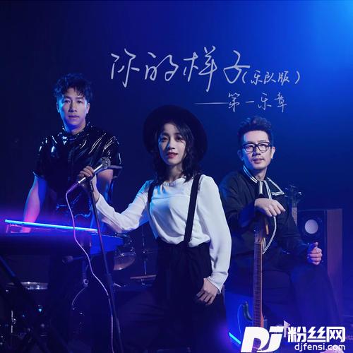 你的样子乐队版|DJ默涵版