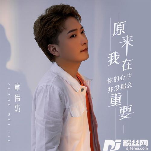 原来我在你的心中并没那么重要纯音乐
