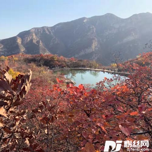 你知道吗（DJ版）的专辑