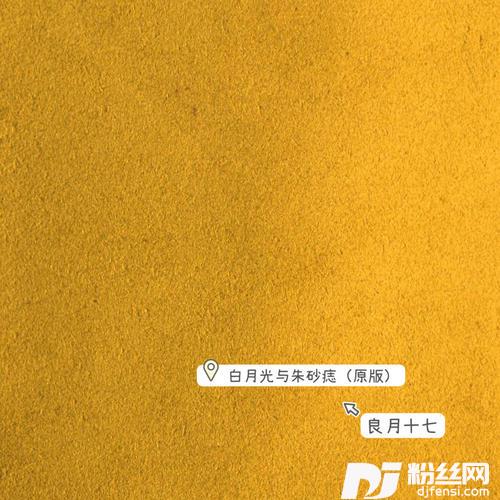 白月光与朱砂痣原版