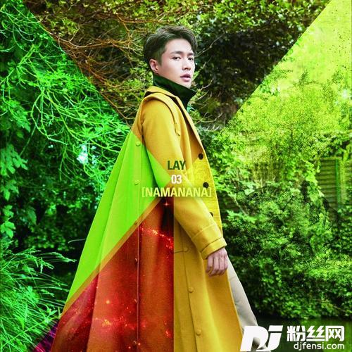 梦不落雨林
