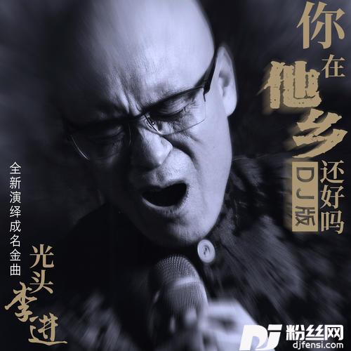你在他乡还好吗DJ默涵版的专辑