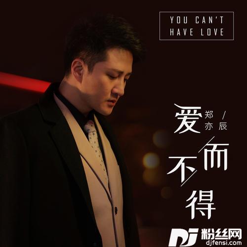 爱而不得