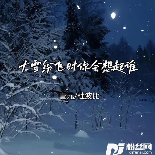 大雪纷飞时你会想起谁的专辑