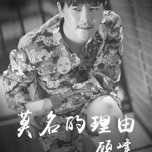 莫名的理由的专辑