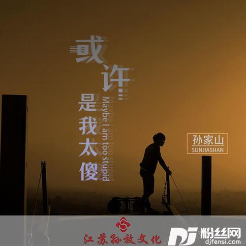 或许是我太傻