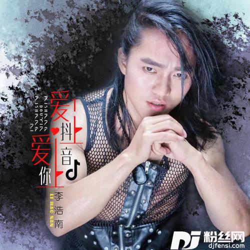 爱上抖音爱上你DJ何鹏版的专辑