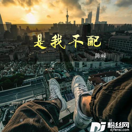 是我不配