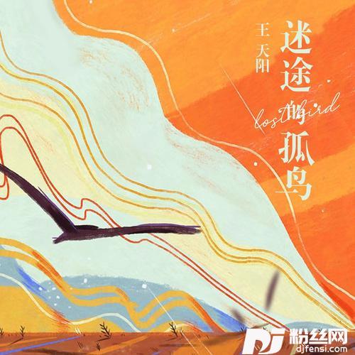 迷途的孤鸟
