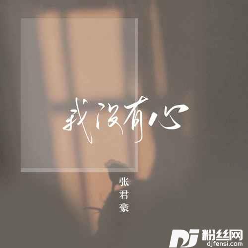 我没有心的专辑